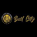Bail City Bail Bonds logo