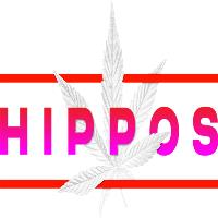 Hippos Weed Dispensary Springfield image 1