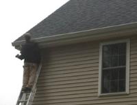 New England Gutter Company & Repair image 9