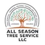 All Season Tree Service LLC image 1