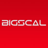 Bigscal Technology PVT. LTD. image 1