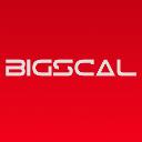 Bigscal Technology PVT. LTD. logo