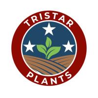 Tristar Plants image 5