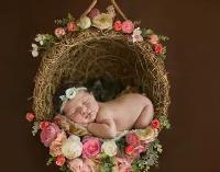 Newborn & Maternity Photography Studio image 2