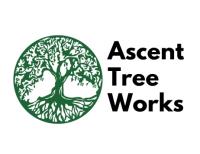 Ascent Tree Works image 1