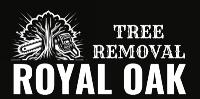 Tree Removal Royal Oak image 1