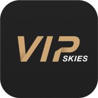 VIP Skies Travel image 1