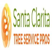 Santa Clarita Tree Service image 19