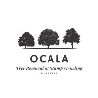 Ocala Tree Removal & Stump Grinding image 1