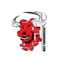 Designing Bull LLC logo