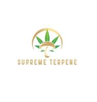 Supreme TerpeneDC-Cannabis and mushroom dispensary image 1