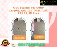VITAL CLEAN LLC image 15