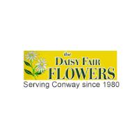 The Daisy Fair Flowers image 14