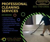 VITAL CLEAN LLC image 23