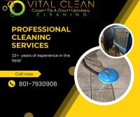 VITAL CLEAN LLC image 21