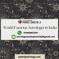 World Famous Astrologer in India image 1