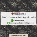 World Famous Astrologer in India logo