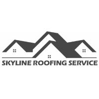 Skyline Roofing & Construction image 1