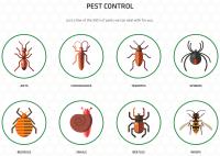 CURA Termite And Pest Control image 3