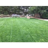 Tailored Lawn Care, LLC image 3