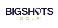 BigShots Golf image 5