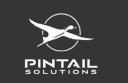 Pintail Solutions logo