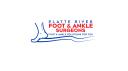PR Foot and Ankle logo