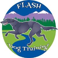 Flash Dog Training Broomfield Colorado image 6