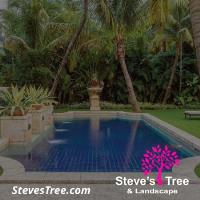 Steve's Tree and Landscape image 1