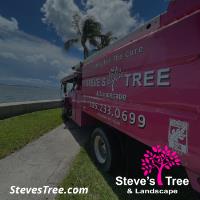 Steve's Tree and Landscape image 2