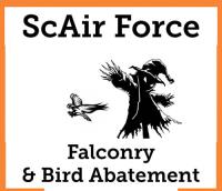 ScAIR Force Falconry & Bird Abatement image 15