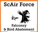 ScAIR Force Falconry & Bird Abatement logo
