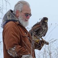 ScAIR Force Falconry & Bird Abatement image 12