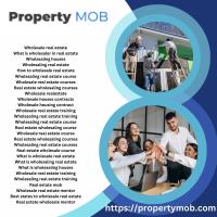 Property Mob image 1