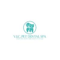 dental cleaning for dogs and cats tampa fl image 1