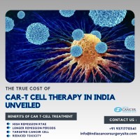 Low Cost CAR-T Cell for Cancer Treatment in India image 1