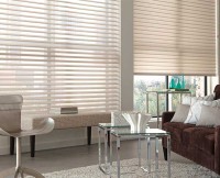 BDIY BLINDS image 4