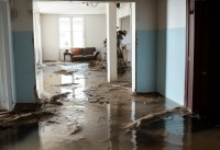 Rhino Water Damage & Mold Removal of Austin image 6