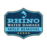 Rhino Water Damage & Mold Removal of Southwest image 1