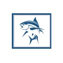 striper fishing cape cod logo