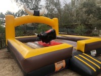 Best Mechanical Bull Rental Bay Area image 6