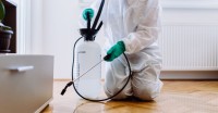 pest control scottsdale az image 2