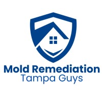 Mold Remediation Tampa Guys image 1