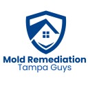 Mold Remediation Tampa Guys logo