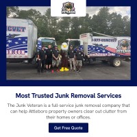 The Junk Veteran image 2