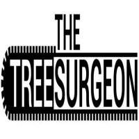 The Tree Surgeon image 1