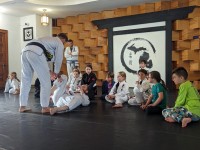 Great Lakes Brazilian Jiu Jitsu image 5