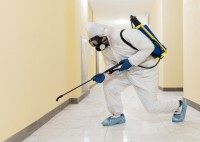 Smithereen Pest Management Services image 2