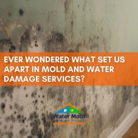 Water Mold Inspection & Rebuild image 7