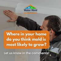 Water Mold Inspection & Rebuild image 8